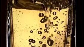 倒酒水视频,优雅礼仪尽在掌握