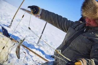 乌苏里江打弹弓视频,传统技艺与现代休闲的完美融合